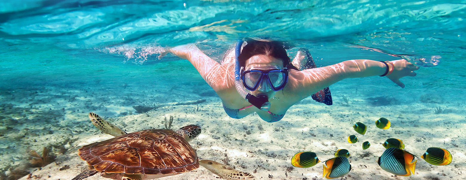 DISFRUTA DE ESTA INCREÍBLE EXPERIENCIA