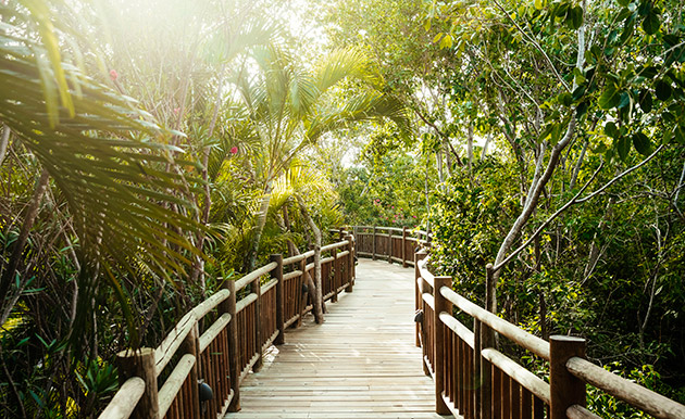 Hotel Vidanta Grand Luxxe by Jungala -  Plan Todo Incluido - Imagen 11