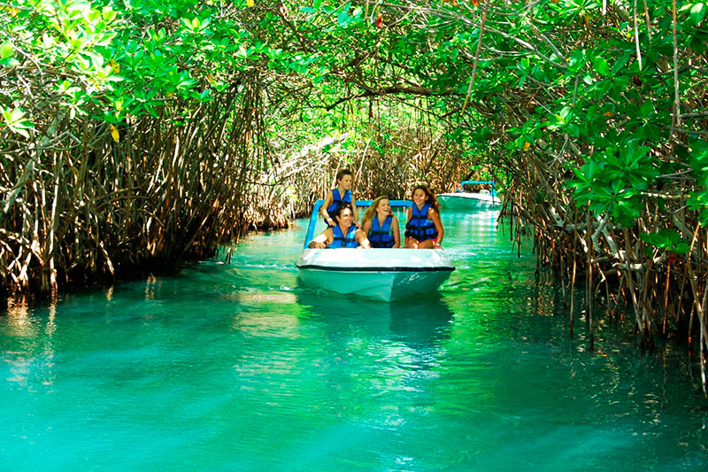 Jungle Tour en Cancún: Guía Completa para el 2026